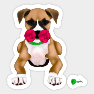 Cute Boxer Drawing Sticker